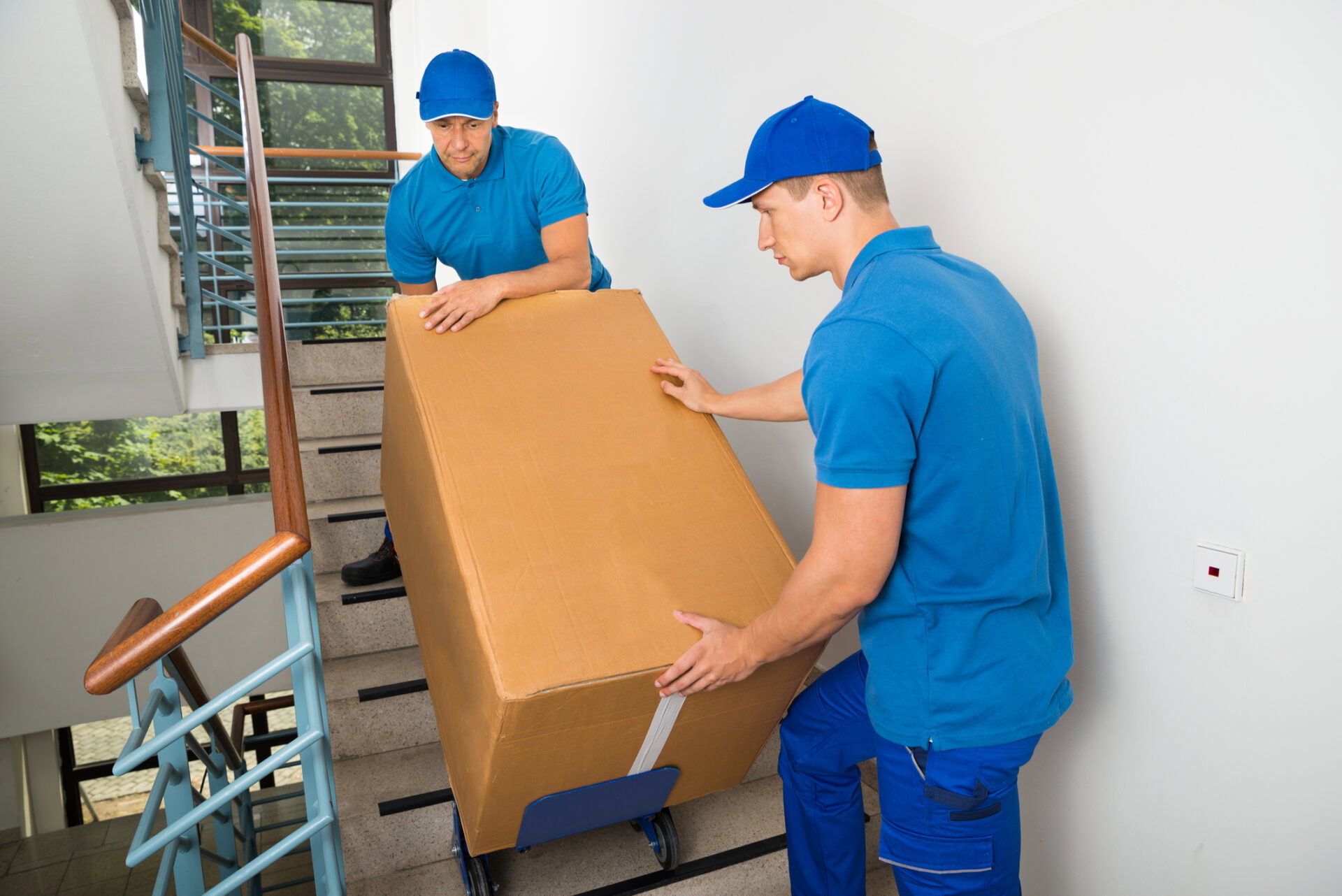 All Stars Movers cover